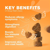 | AllergyEase Chews | ItchRelief Bites | PawComfort Allergy Chews | SkinSooth Chews |
AllergyGuard Bites | PurePup Allergy Relief | ItchAway Chews | AllergyShield Treats |
PawRelief Chews | ScratchStop Bites |