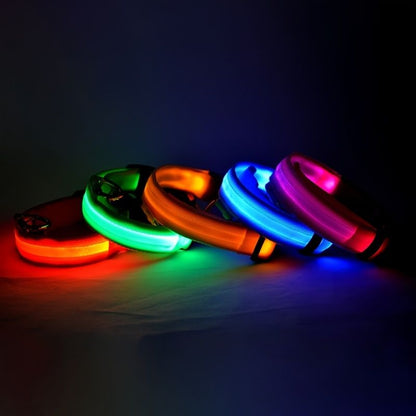 375489691Glow-In-The-Dark Pet Collar