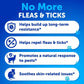 flea treatment for cats