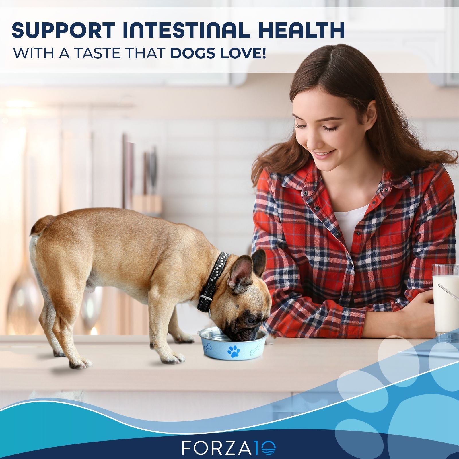 Active Dog Intestinal