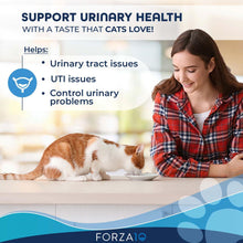 Actiwet Cat Urinary