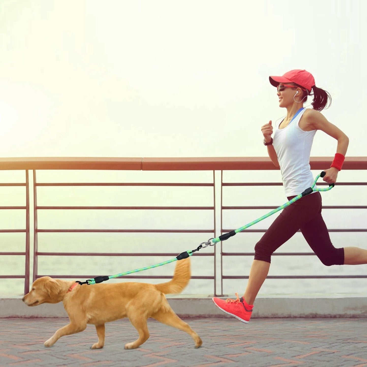 Double Dogs Leash