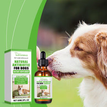 Dietary Supplements For Dogs