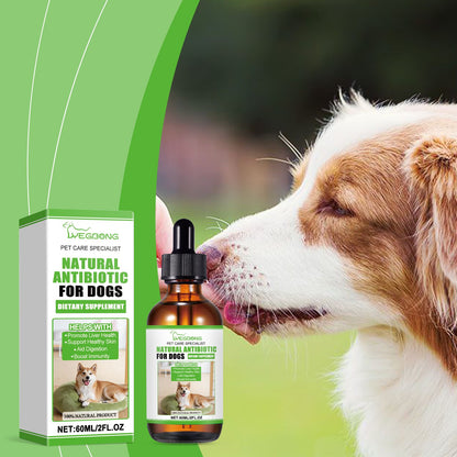 Dietary Supplements For Dogs