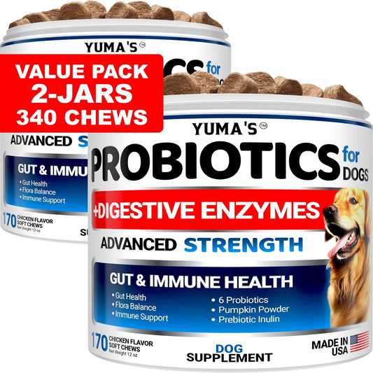 Probiotics for Dogs