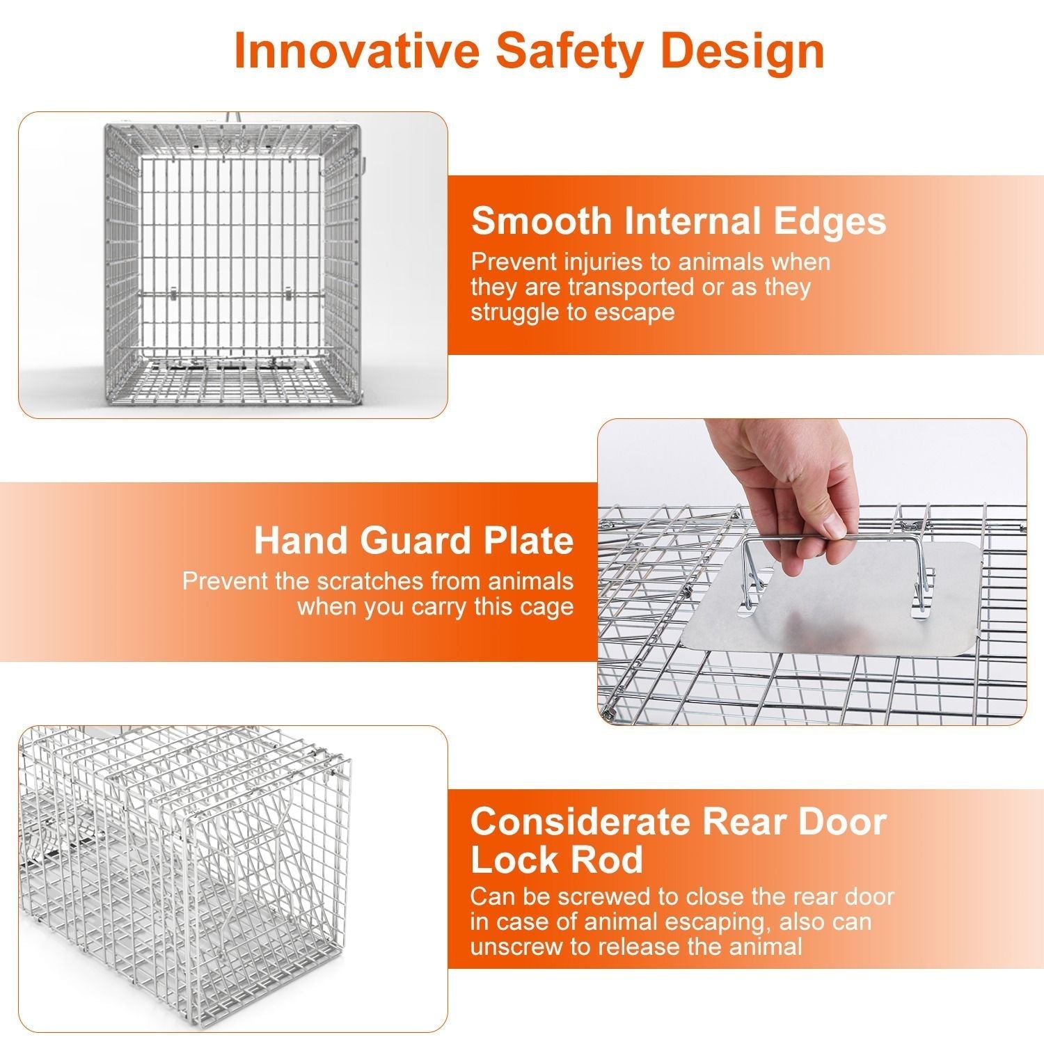 Safe & Effective Trap