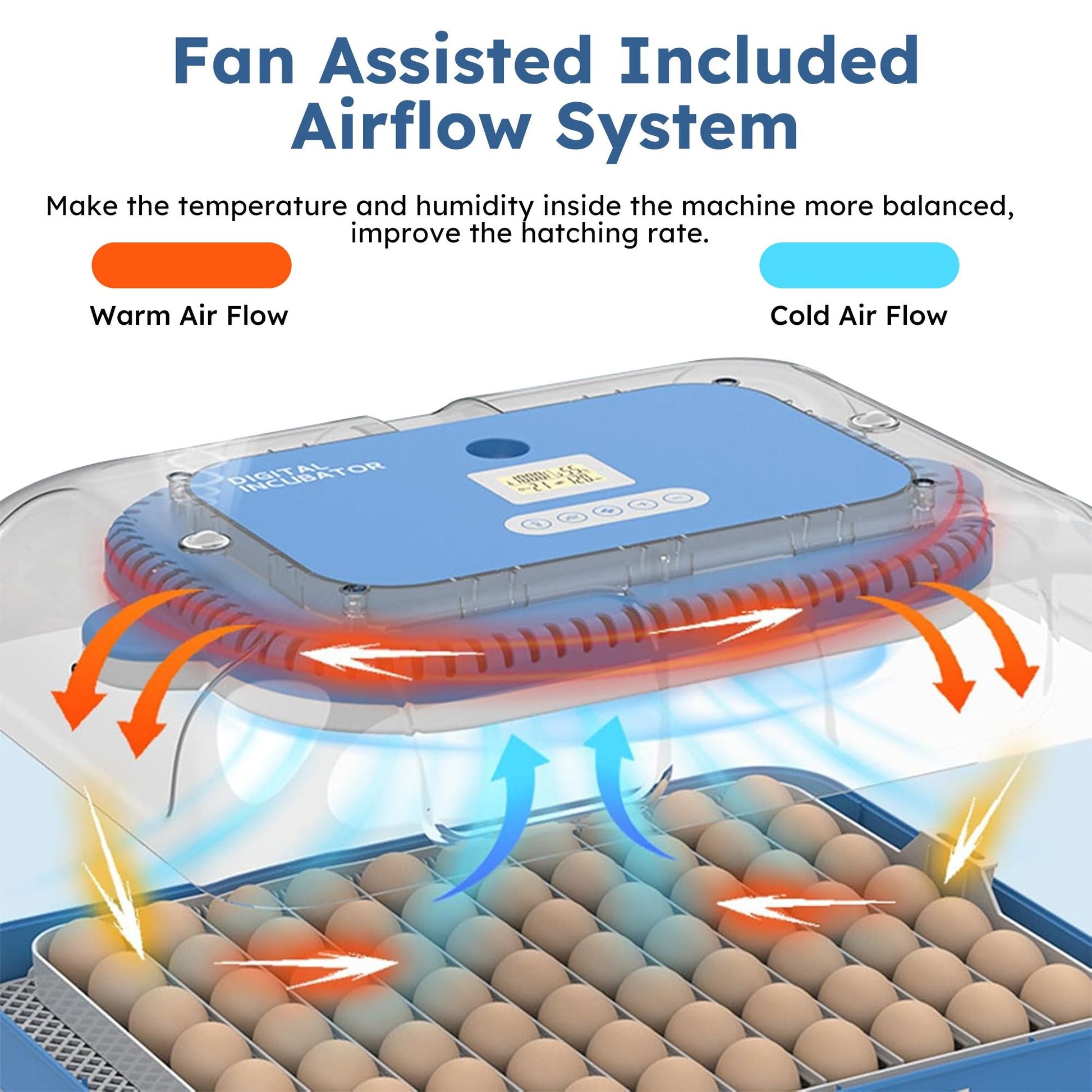 Digital 70 Egg Incubator with auto turning, humidity control, and fan-assisted airflow system for balanced temperature and improved hatching rate