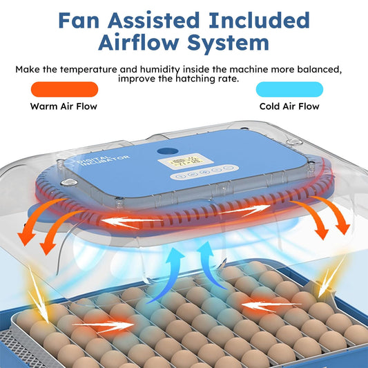 Digital 70 Egg Incubator with auto turning, humidity control, and fan-assisted airflow system for balanced temperature and improved hatching rate