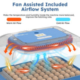 Digital 70 Egg Incubator with auto turning, humidity control, and fan-assisted airflow system for balanced temperature and improved hatching rate