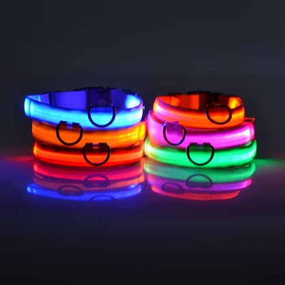 Glow-In-The-Dark Pet Collar
