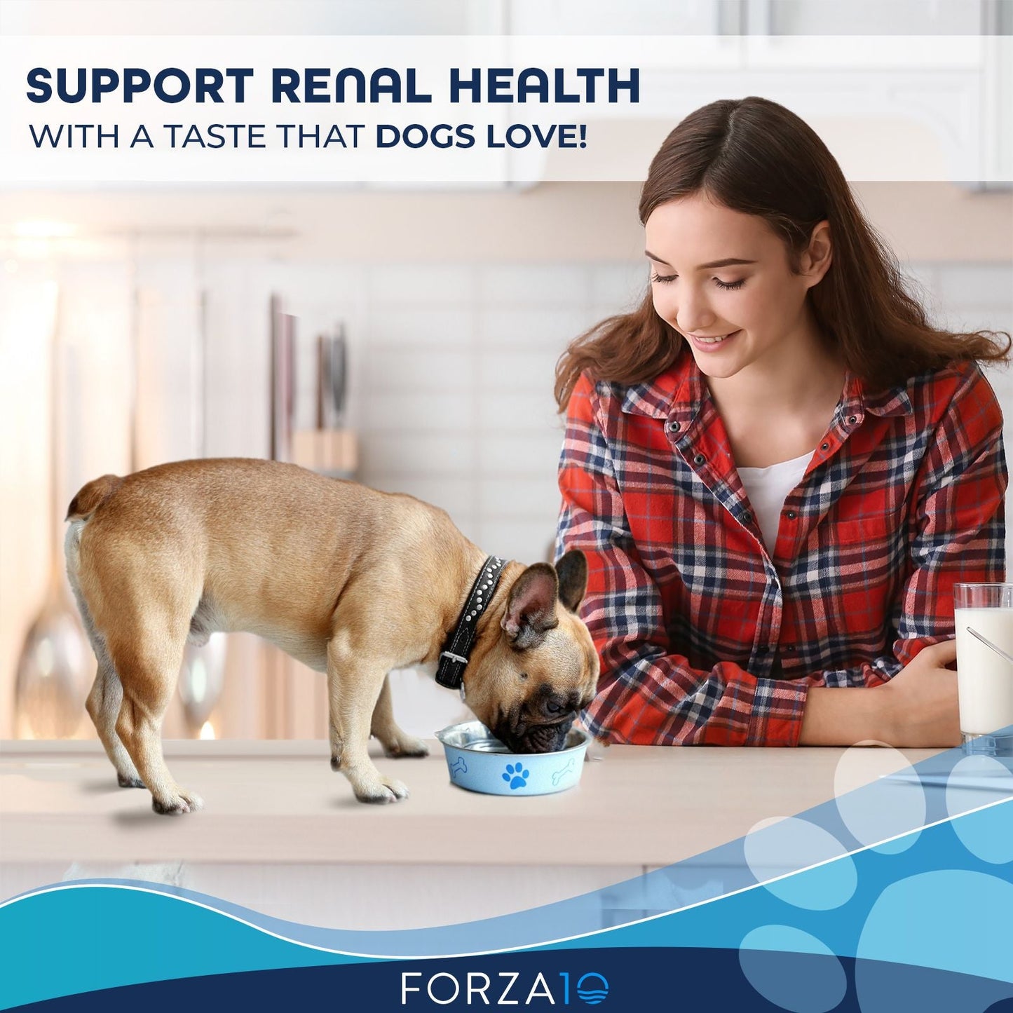 Active Dog Kidney