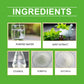 DailyDogSupplements
