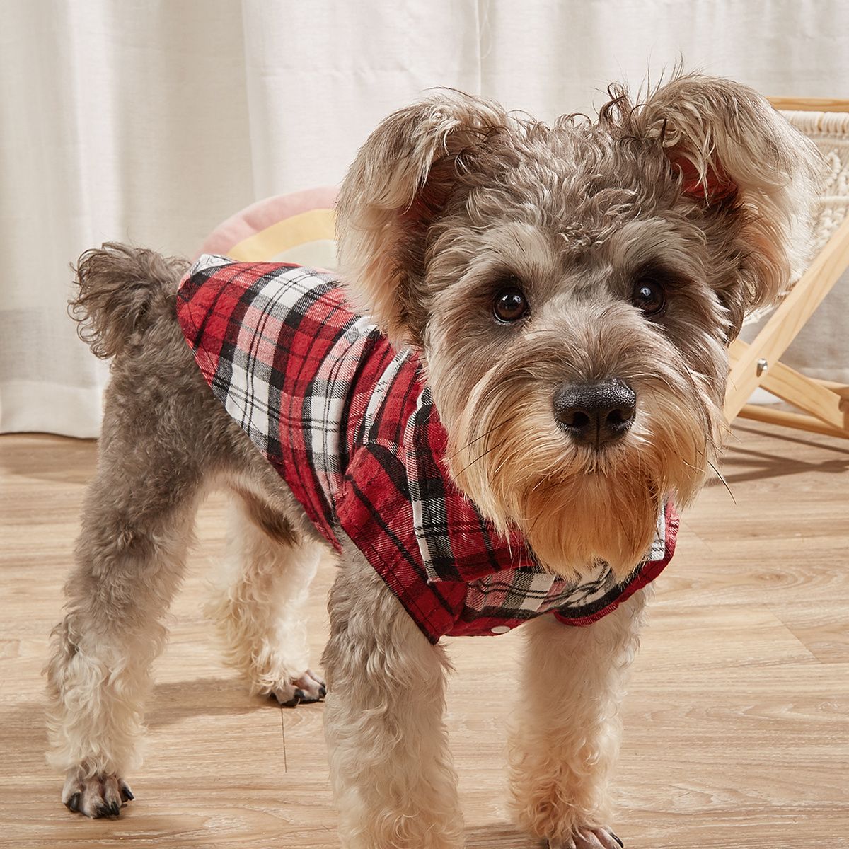 Dog wearing a stylish checkered outfit, perfect plaid shirt for pets. Pet Plaid Shirt