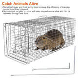 Humane Live Animal Trap Cage |Collapsible Cat & Rodent Trap |Galvanized Wire Animal Catch Cage |Catch-and-Release Animal Trap |Multi-Species Live Animal Trap |Humane Wildlife Catch Cage |Live Rodent and Small Animal Trap |Animal Containment Cage for Catch and Release |Fox and Raccoon Live Trap |Portable Humane Animal Trap