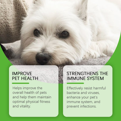 Dietary Supplements For Dogs