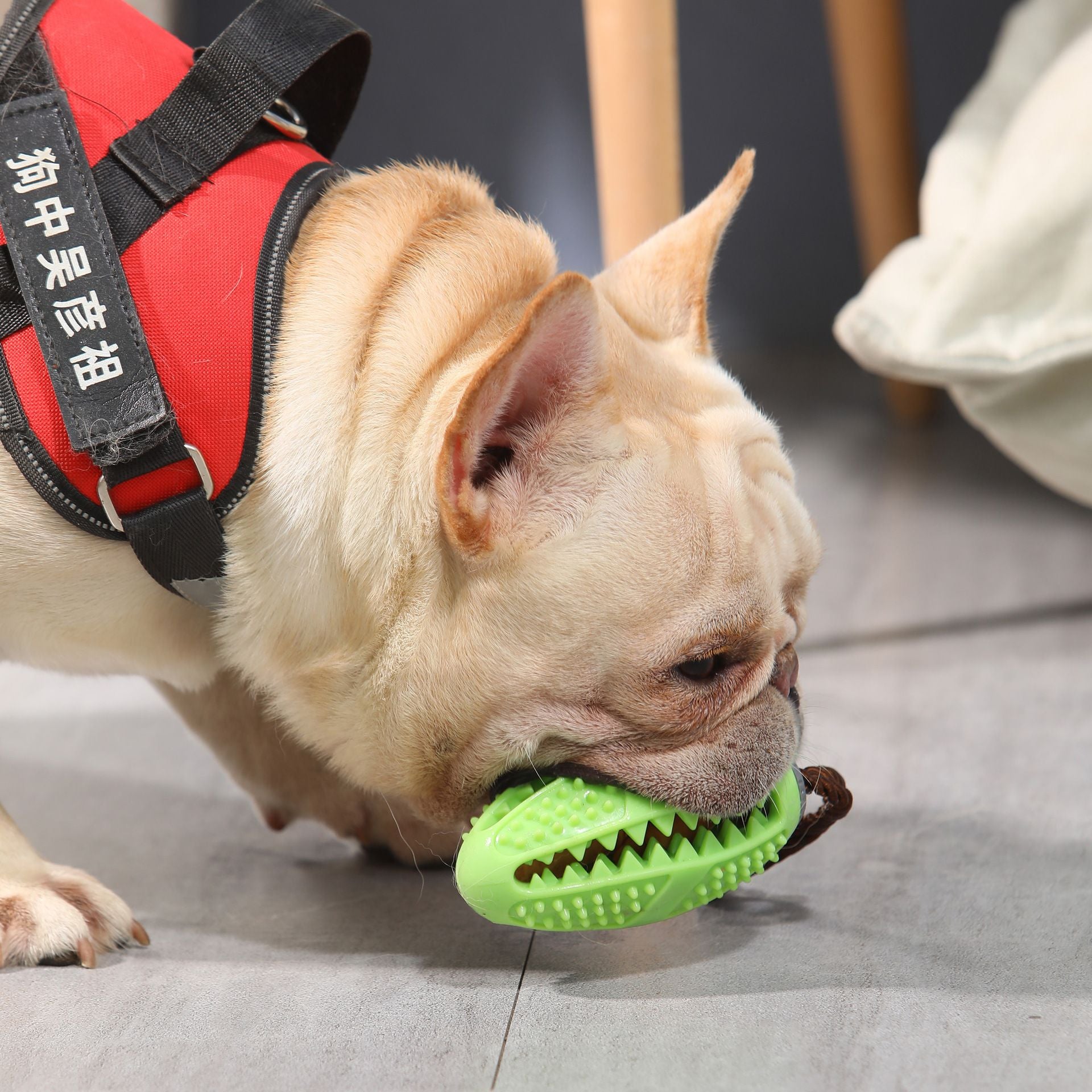 PetChewBall