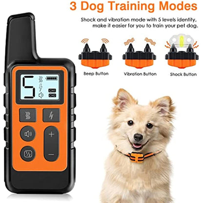 Dog Training Collar