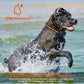 984FT Dog Training Collar| 984FT Dog Trainer | Long-Range Dog Collar | 3-Mode Dog Collar | Rechargeable Dog Trainer |Waterproof Dog Collar | Pet Training Collar | Dog Obedience Collar | Remote Dog E-Collar |Shock & Vibration Collar | Safety Lock Dog Collar |