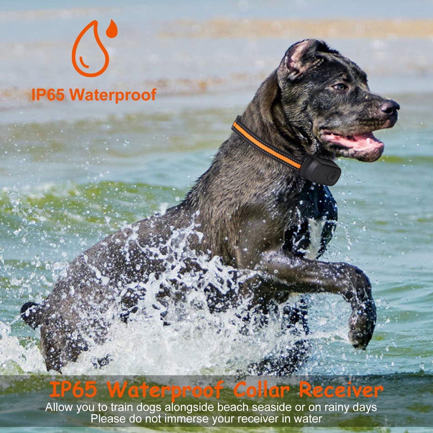 984FT Dog Training Collar| 984FT Dog Trainer | Long-Range Dog Collar | 3-Mode Dog Collar | Rechargeable Dog Trainer |Waterproof Dog Collar | Pet Training Collar | Dog Obedience Collar | Remote Dog E-Collar |Shock & Vibration Collar | Safety Lock Dog Collar |