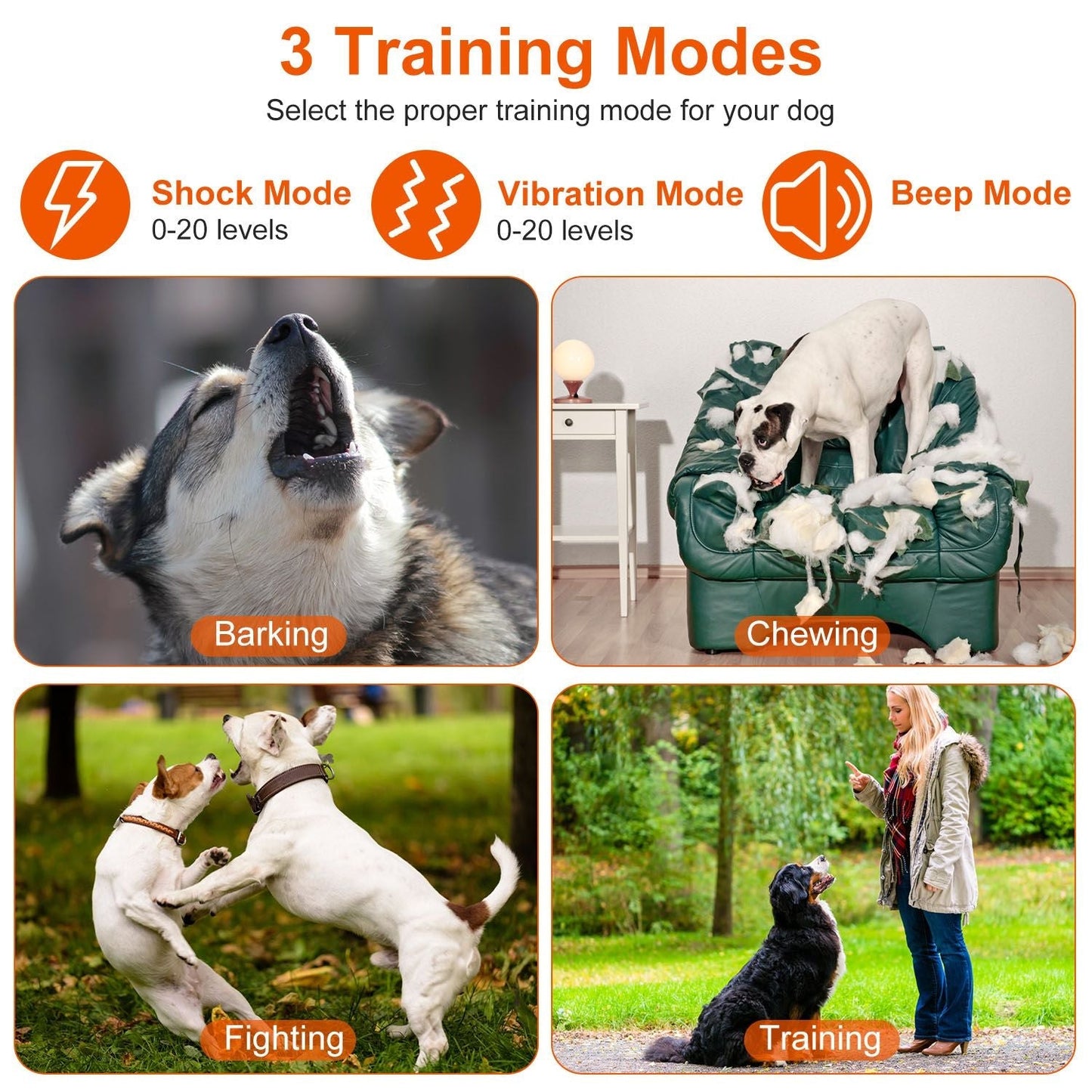 Electric Remote Training Collar| Remote Dog Collar | Electric Dog Trainer | Dog Training Collar | Wireless Dog Collar |Pet Training Collar | Rechargeable Dog Collar | Dog Obedience Collar | Shock Dog Collar |Long-Range Dog Collar | Waterproof Dog Trainer |
