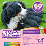 Canine Prenatal Support |Puppy & Mom Wellness |Pregnancy & Nursing Supplement |Maternal Care Dog Vitamins |Breeder’s Choice Multivitamin |Prenatal & Postnatal Dog Support |Mother & Puppy Nutrition |Reproductive Health Dog Vitamins |Complete Prenatal Pet Support