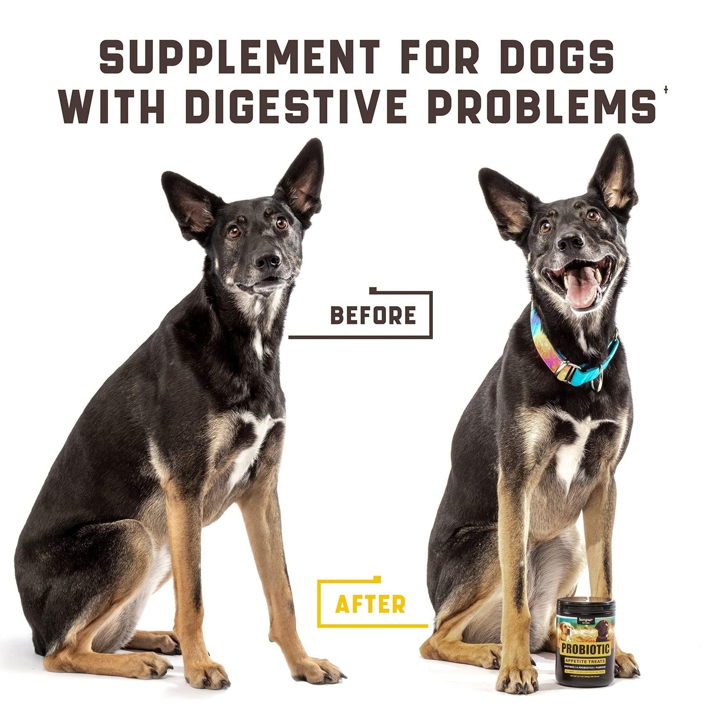 dog probiotics chews