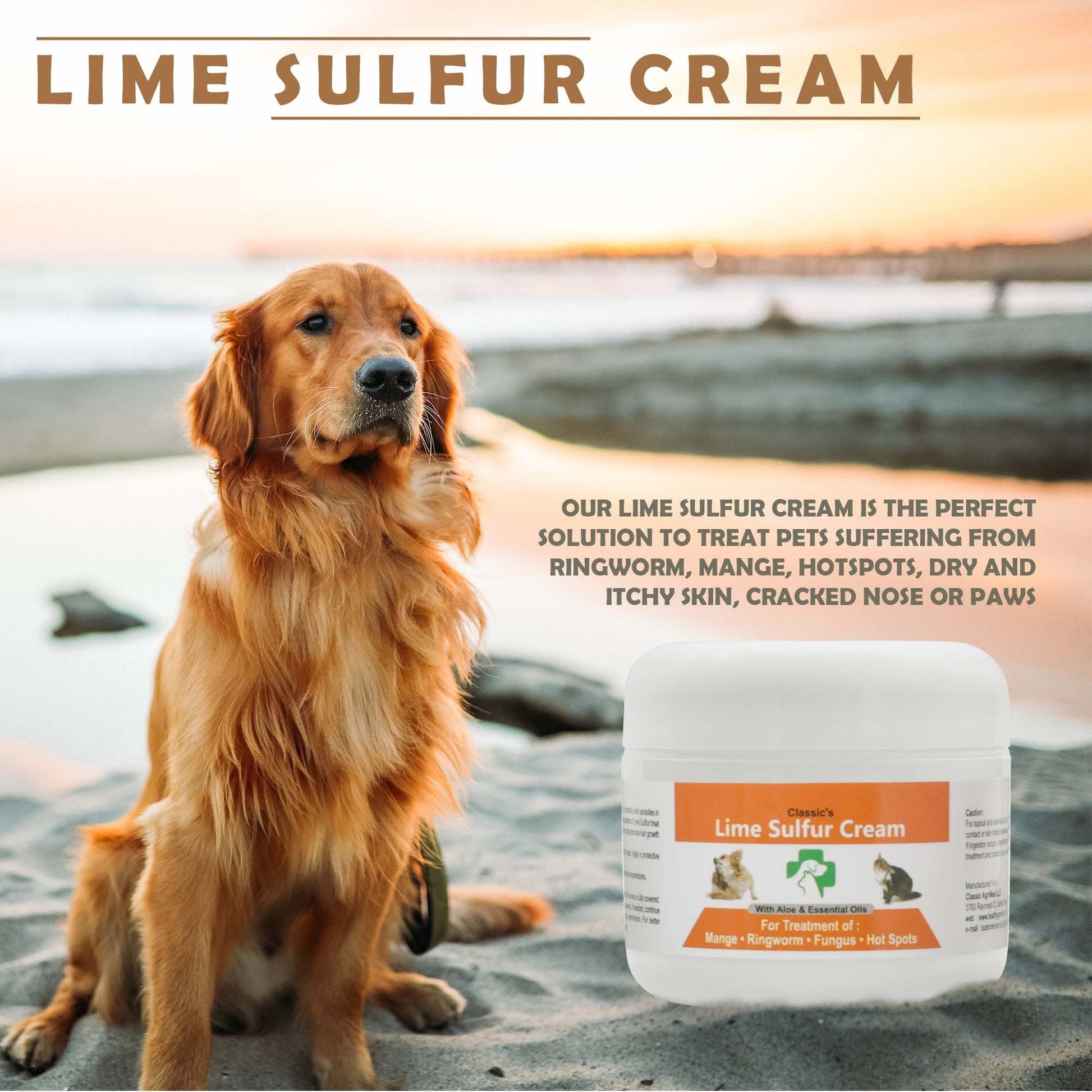 pet mange treatment