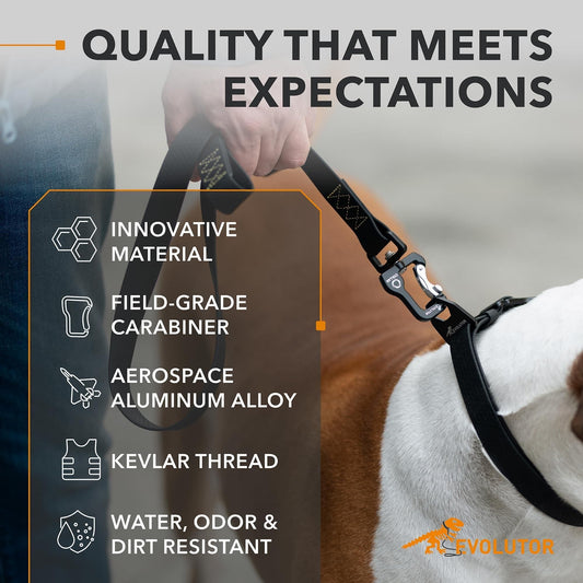 375487141Extra Heavy Duty Dog Leash