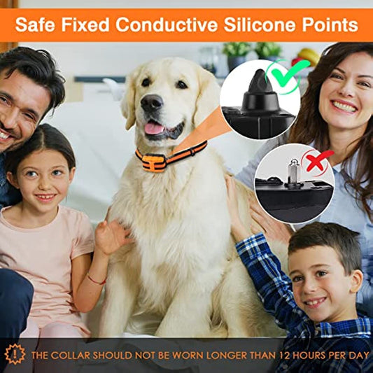 Dog Training Collar