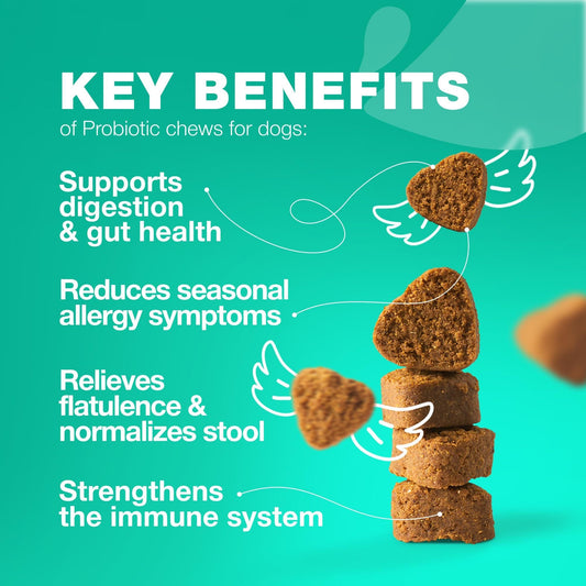 | TummyEase Chews | ProBioPup Bites | GutGuard Chews | FloraBoost Bites | Happy Tummy Chews |
Digestive Bliss Chews | PawBiome Bites | BellyBoost Chews | Canine Probiotic Bites |
Healthy Gut Chews |