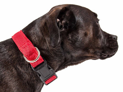 Pet wearing FeatherFit Mesh Comfort Collar in red with adjustable quick-release buckle and breathable mesh design.