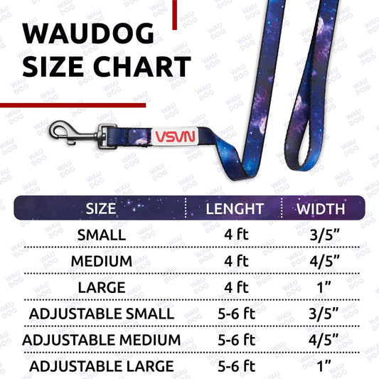 375487091Nylon Dog Leash