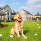 Electric Dog Fence System
