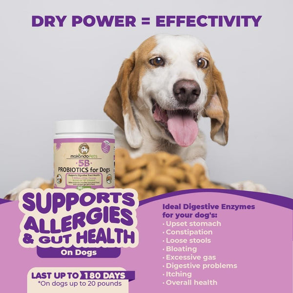 | Gut Boost Probiotic Powder | Digestive Care Probiotics | Tummy Health Probiotic |
Canine Digestive Support | Allergy Relief Probiotics | Probiotic & Enzyme Blend |
Immune & Gut Support Powder | 5 Billion CFU Dog Probiotics |
Healthy Tummy Probiotic Mix | Advanced Probiotic Formula |