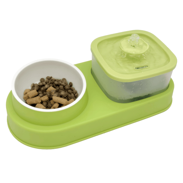 Dual Cat Feeder & Water Station |2-in-1 Pet Feeding Station |Cat Food & Water Dispenser Combo |Gravity Cat Feeder & Water Bowl |Pet Hydration & Feeding System |Auto Refill Pet Food & Water Station |Smart Cat Feeder with Water Dispenser |All-in-One Pet Feeder & Waterer |Cat Feeding and Hydration Set |Automatic Pet Food & Water Bowl Combo