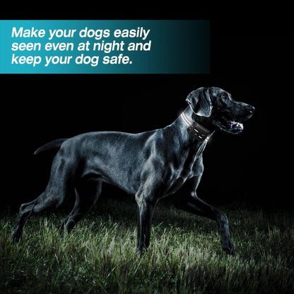 Wireless Electric Dog Fence| Wireless Dog Fence & Collar | 2-in-1 Dog Fence Trainer | Dog Training & Fence Collar |Pet Boundary & Training Collar | Electric Dog Fence System | Wireless Pet Training Collar |Dual-Mode Dog Trainer | Dog Fence & Trainer Combo | 2-in-1 Pet Trainer Collar |Dog Boundary Collar |