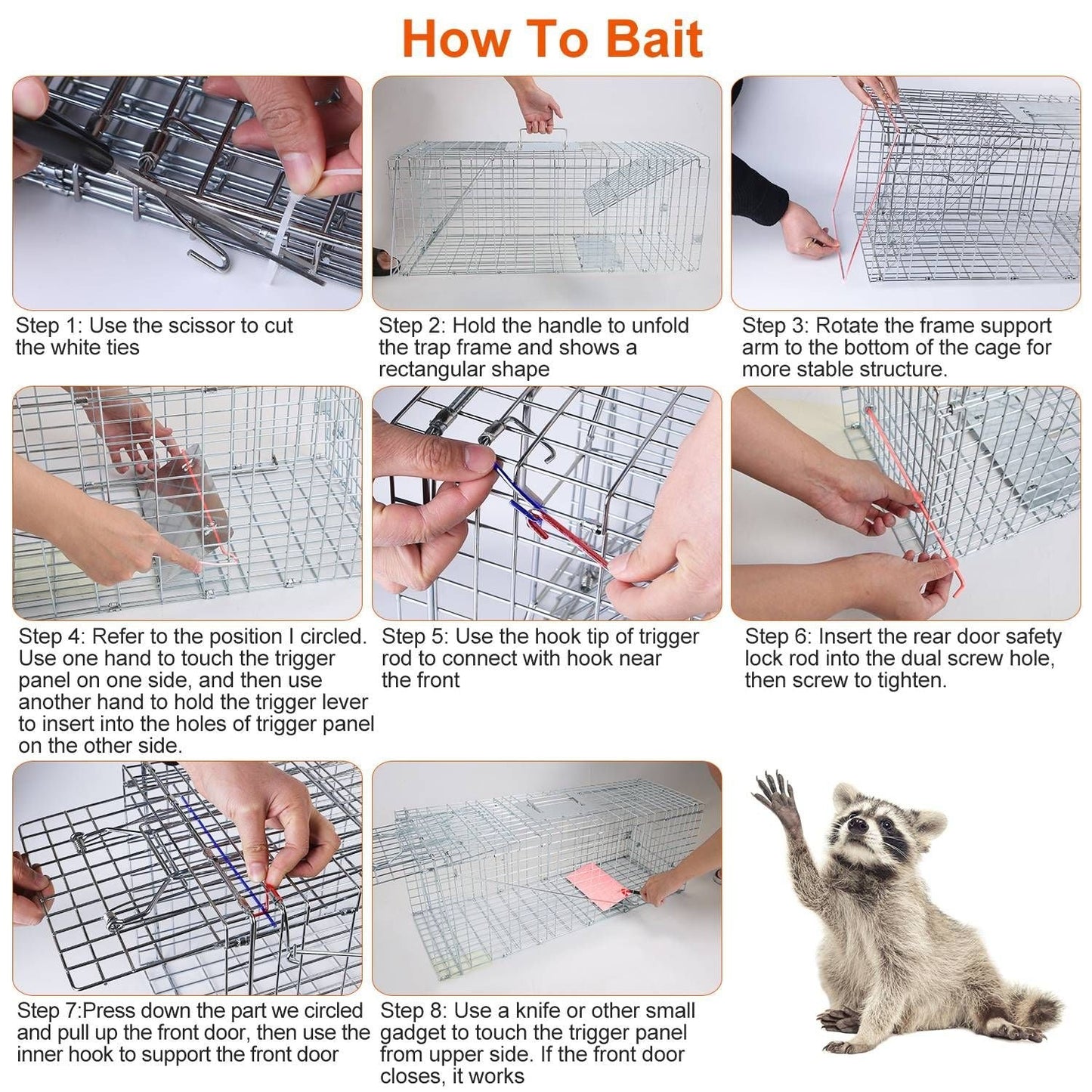 Safe & Effective Trap