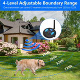 | Training & Boundary Collar | All-in-One Dog Collar | Dog Training Collar | Dog Boundary Collar |
Pet Training Collar | Dog Safety Collar | Smart Training Collar | Behavior Control Collar |
Obedience Collar | Dual-Mode Dog Collar |