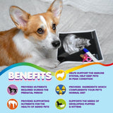 Canine Prenatal Support |Puppy & Mom Wellness |Pregnancy & Nursing Supplement |Maternal Care Dog Vitamins |Breeder’s Choice Multivitamin |Prenatal & Postnatal Dog Support |Mother & Puppy Nutrition |Reproductive Health Dog Vitamins |Complete Prenatal Pet Support