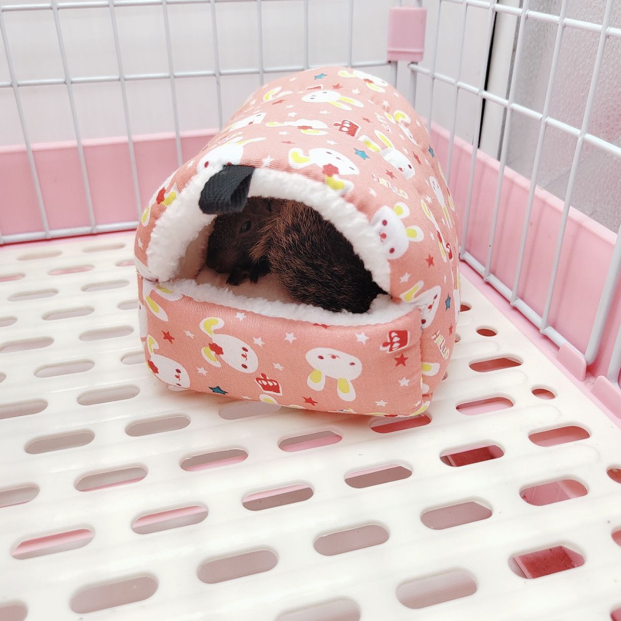 3746590912pcs Bird Cage