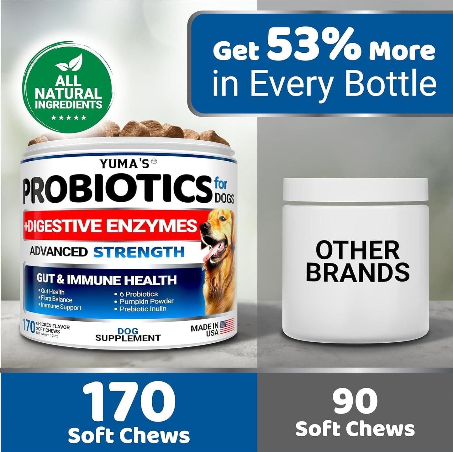 Probiotics for Dogs