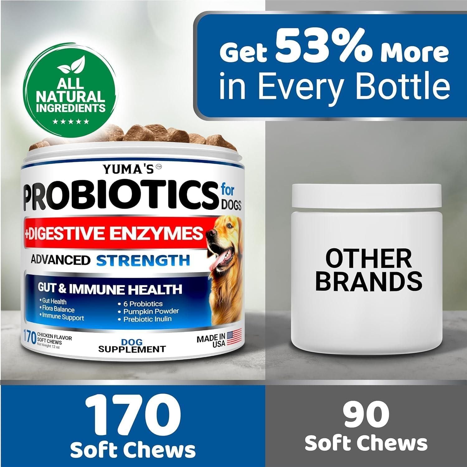 Probiotics for Dogs