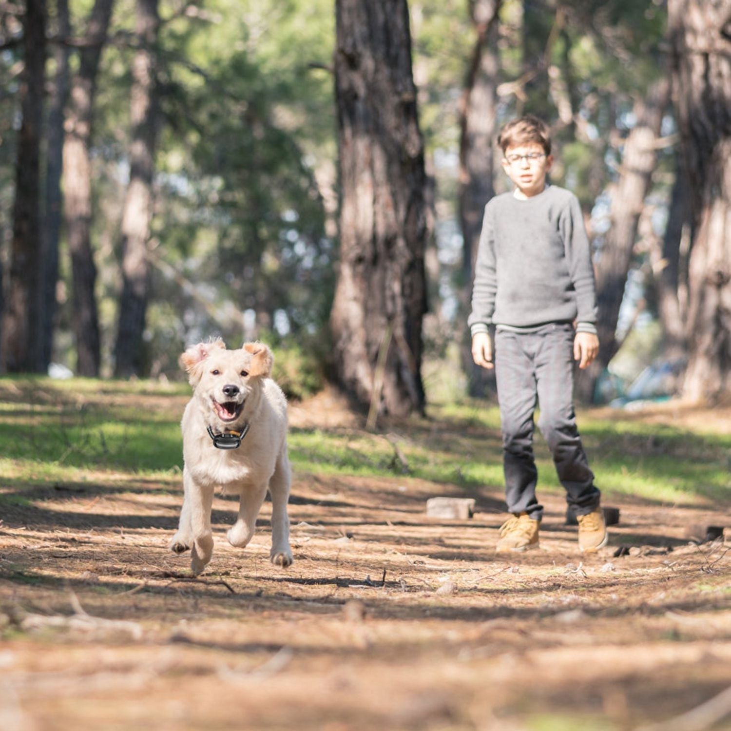 Wireless GPS Dog Fence| GPS Dog Fence | Wireless Pet Fence | GPS Pet Fence | Dog Boundary System | Wireless Dog Fence |Pet Containment Collar | Dog GPS Fence | GPS Dog Collar |