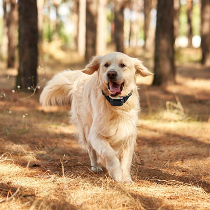 374621171 990FT Range Dog Wireless Fence