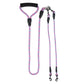 Double Dogs Leash