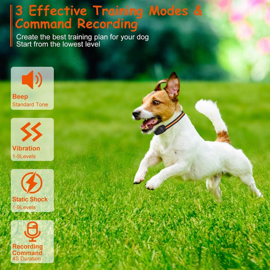 984FT Dog Training Collar| 984FT Dog Trainer | Long-Range Dog Collar | 3-Mode Dog Collar | Rechargeable Dog Trainer |Waterproof Dog Collar | Pet Training Collar | Dog Obedience Collar | Remote Dog E-Collar |Shock & Vibration Collar | Safety Lock Dog Collar |