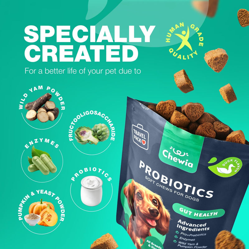 | TummyEase Chews | ProBioPup Bites | GutGuard Chews | FloraBoost Bites | Happy Tummy Chews |
Digestive Bliss Chews | PawBiome Bites | BellyBoost Chews | Canine Probiotic Bites |
Healthy Gut Chews |