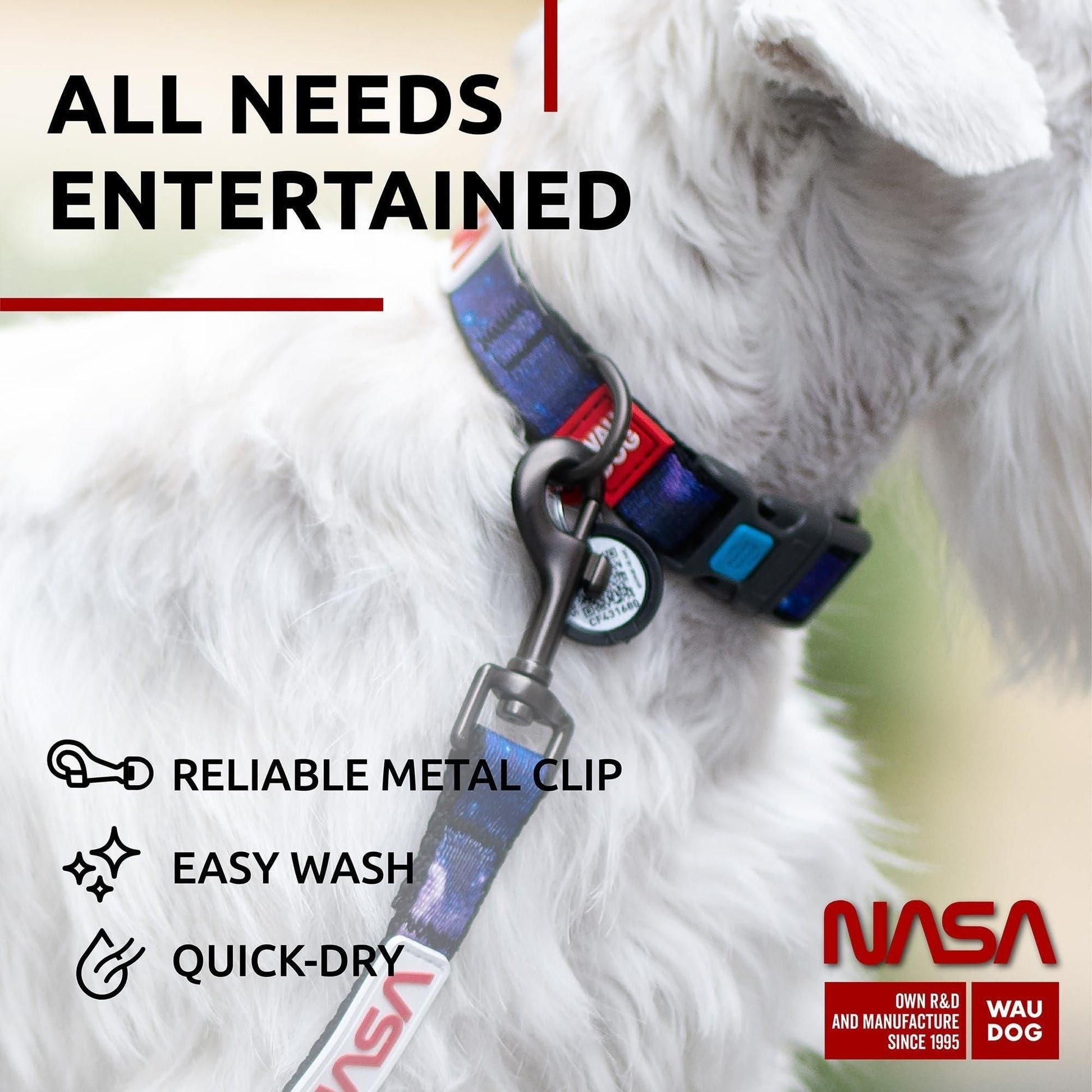 375487111Nylon Dog Leash