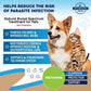 Herbal Medicine for Cats and Dogs