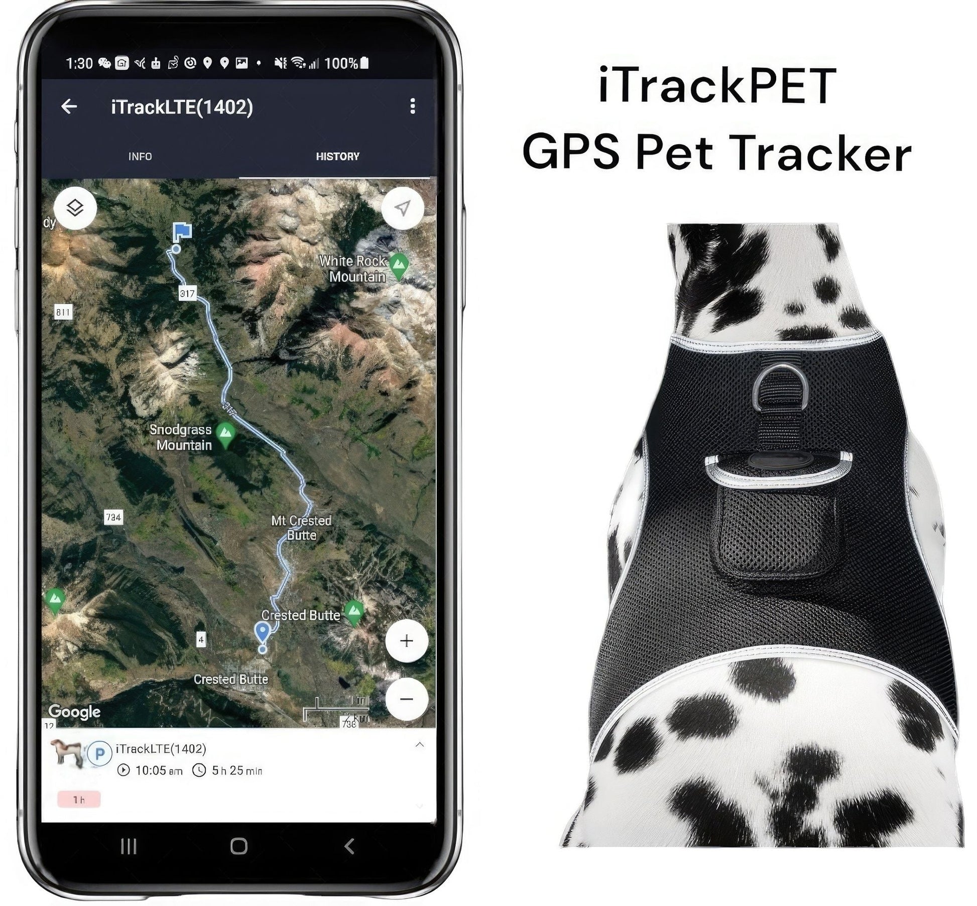 GSM GPS Mini
